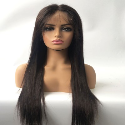 Top quality 100% virgin human hair straight 4*4 HD closure wig with brazilian hair